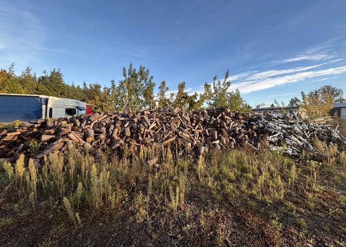 Grajewo ogłoszenia: Sprzedam drewno opałowe sosnę 120zł/mp i brzozę 150zł/mp do...