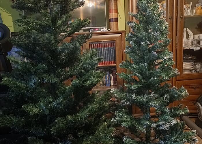 Grajewo ogłoszenia: Sprzedam choinki ,180 cm.-120 zł. i 150 cm .-100 zł. G-wo...